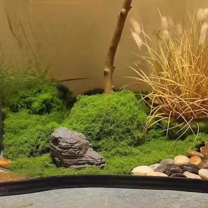 200 г. Искусственный мох «Вечн – обзор и цена Terrarium Moss Art