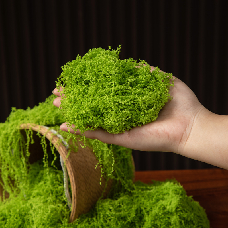 200 г. Искусственный мох «Вечн – обзор и цена Terrarium Moss Art