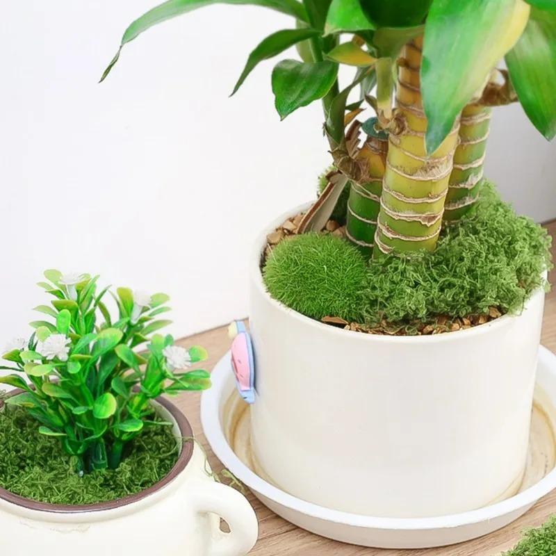 Искусственный реалистичный мох – обзор и цена Terrarium Moss Art