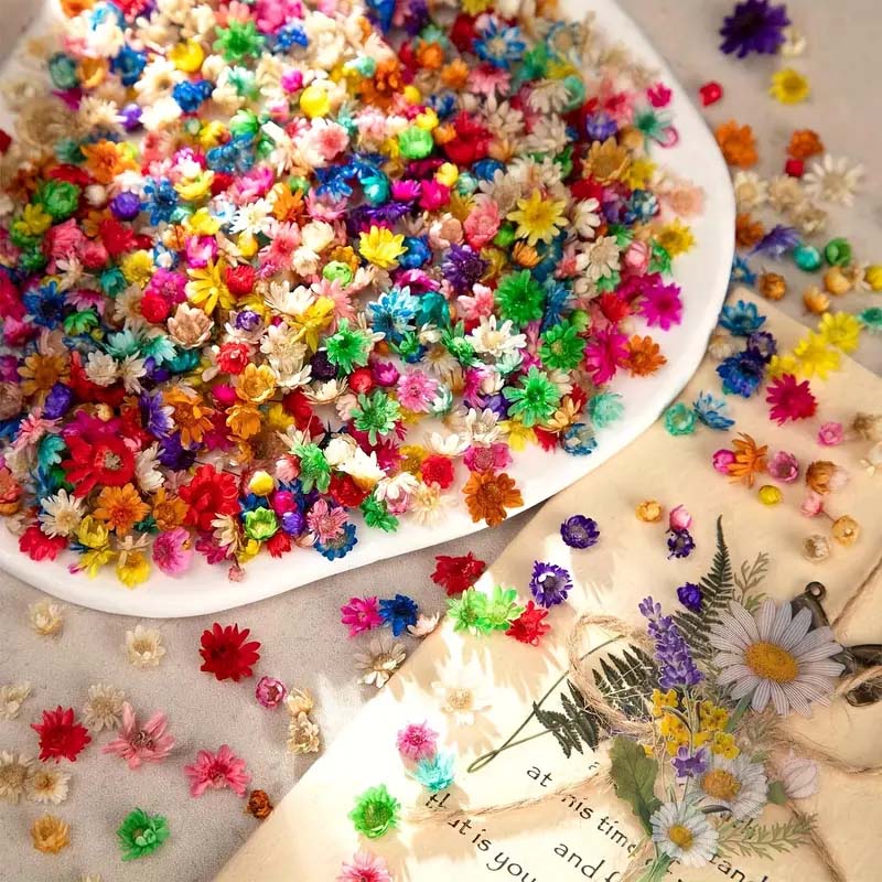 Смешанные красочные цветы для  – обзор и цена Resin Craft Ideas