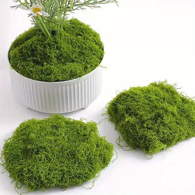 Зеленый Поддельный Мох DIY Рем – обзор и цена Terrarium Moss Art