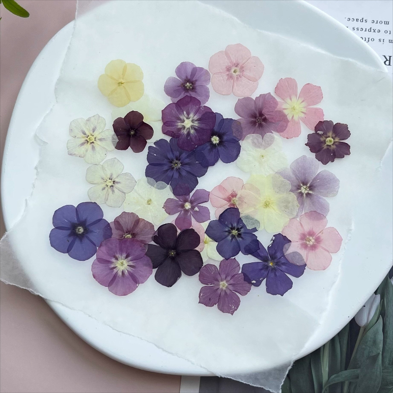 12 шт., полупрозрачные нишевые – обзор и цена Resin Craft Ideas